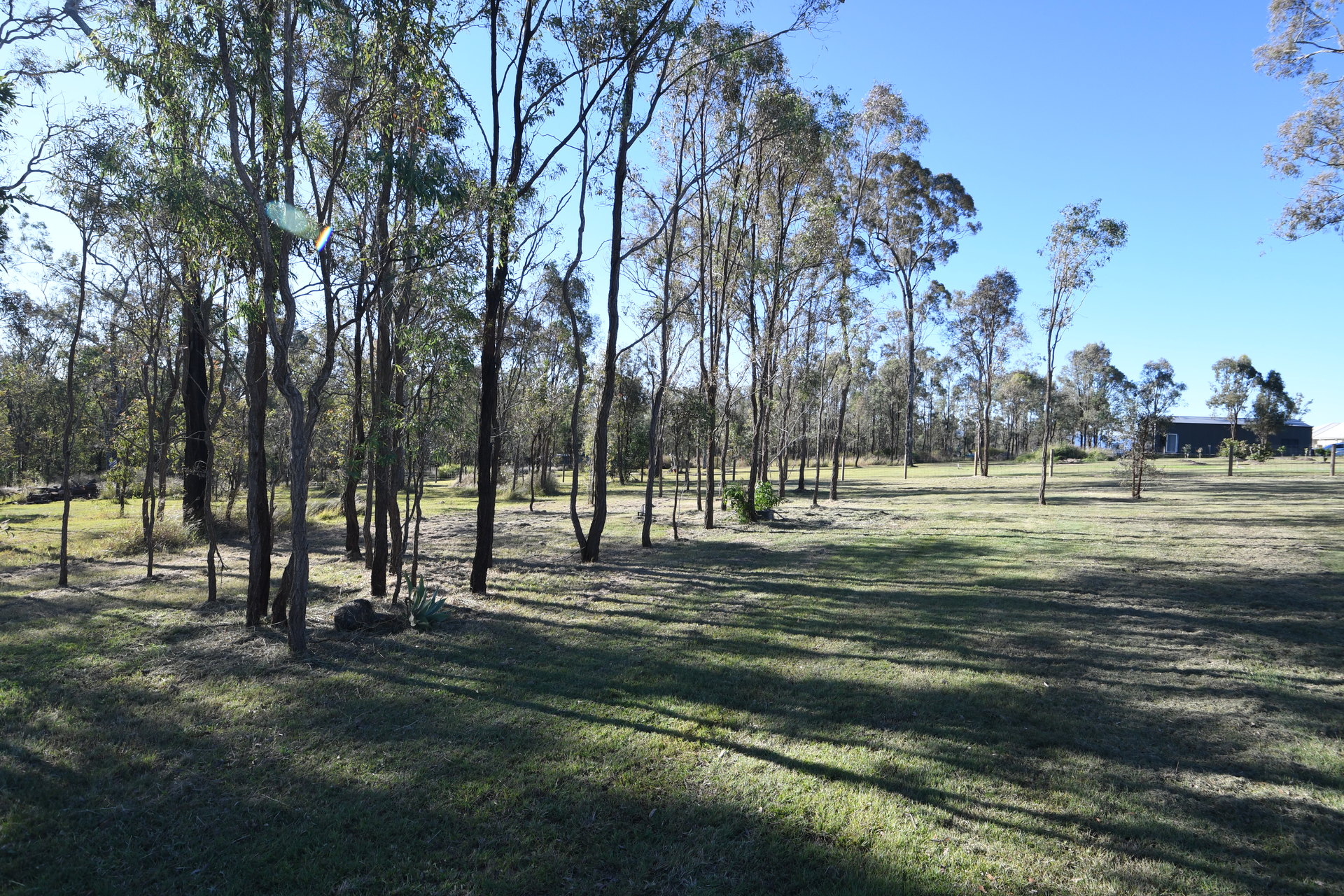 175602551590736173-rsd