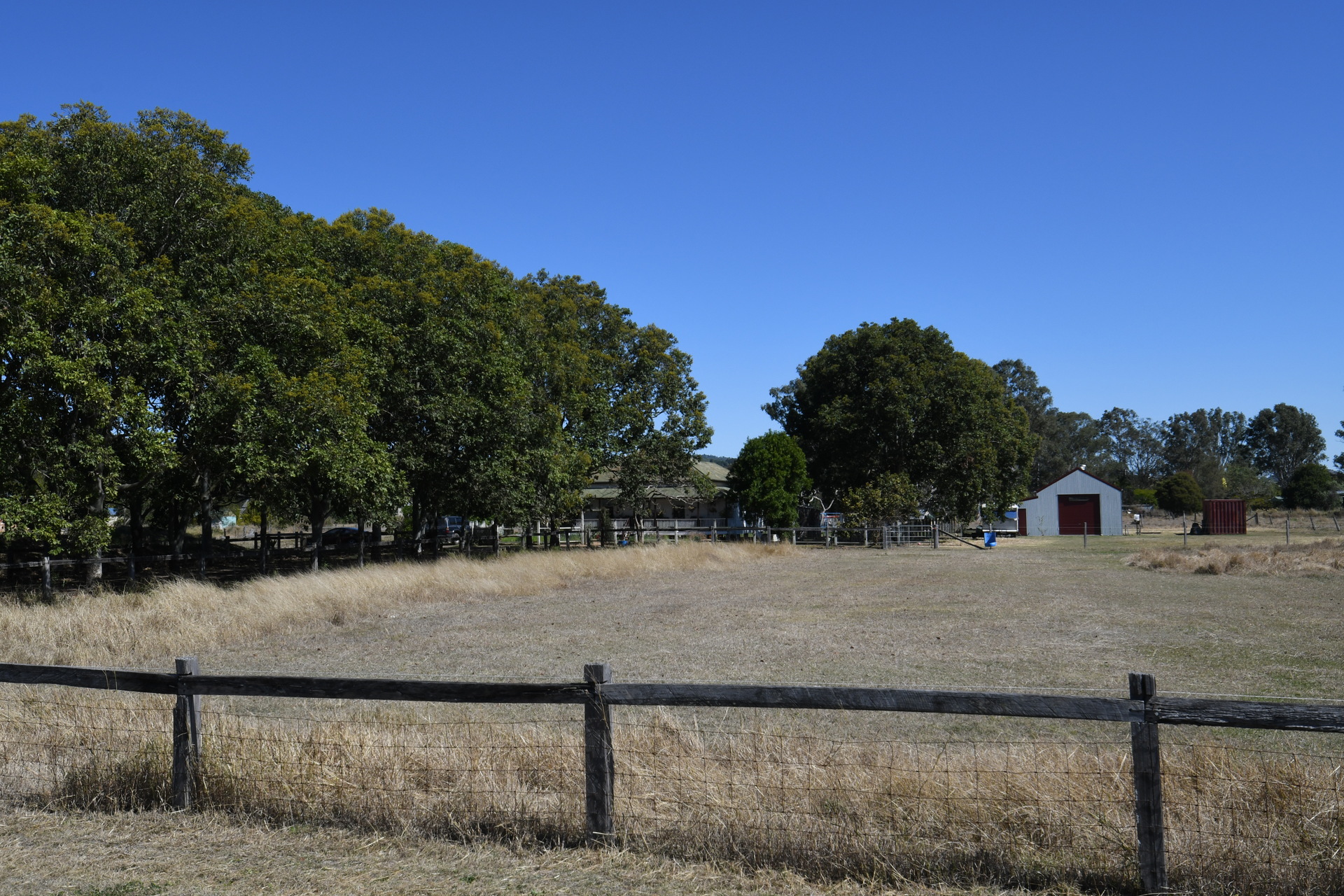 175644748649826312-rsd