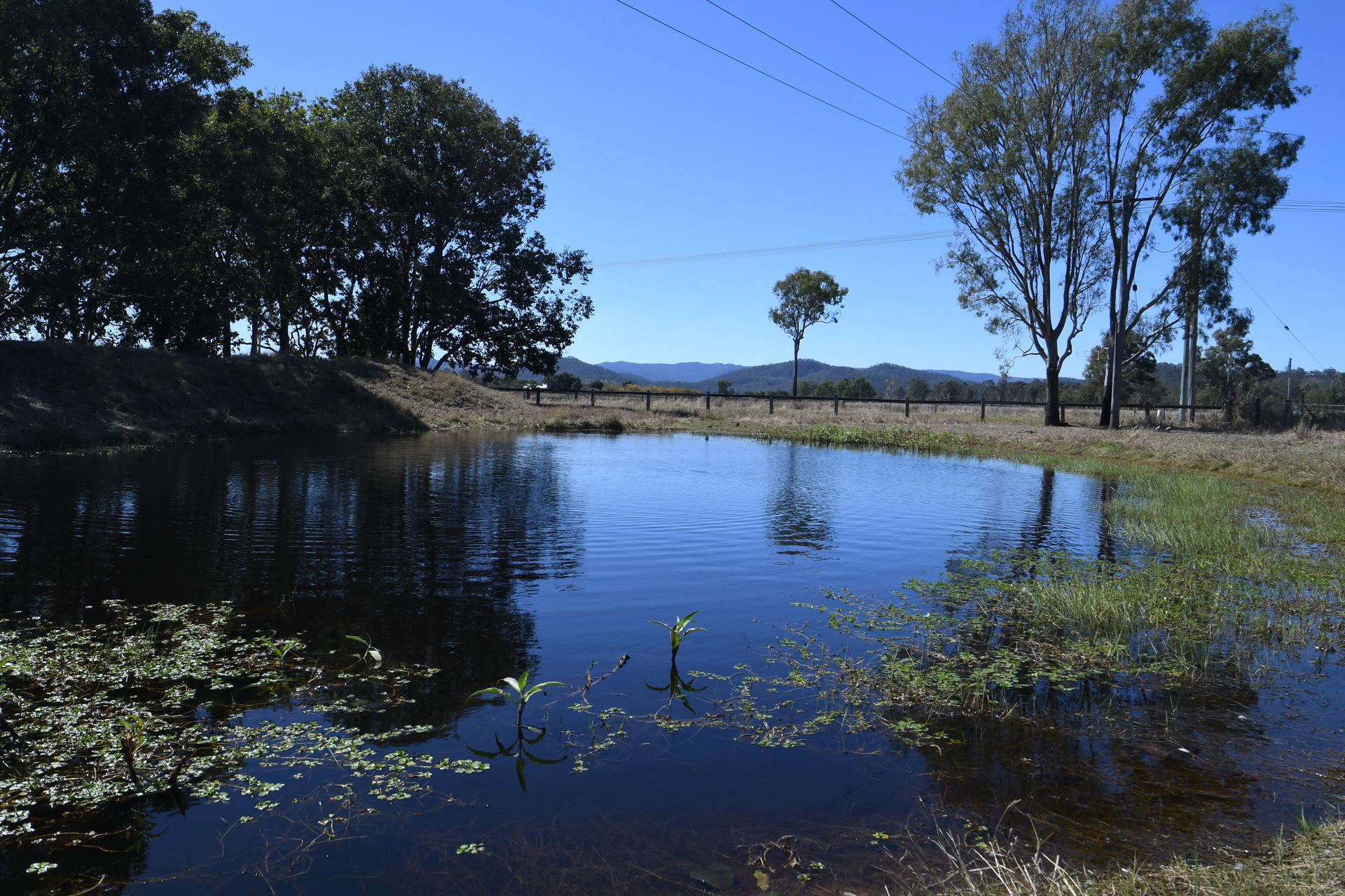 175644749338287900-rsd