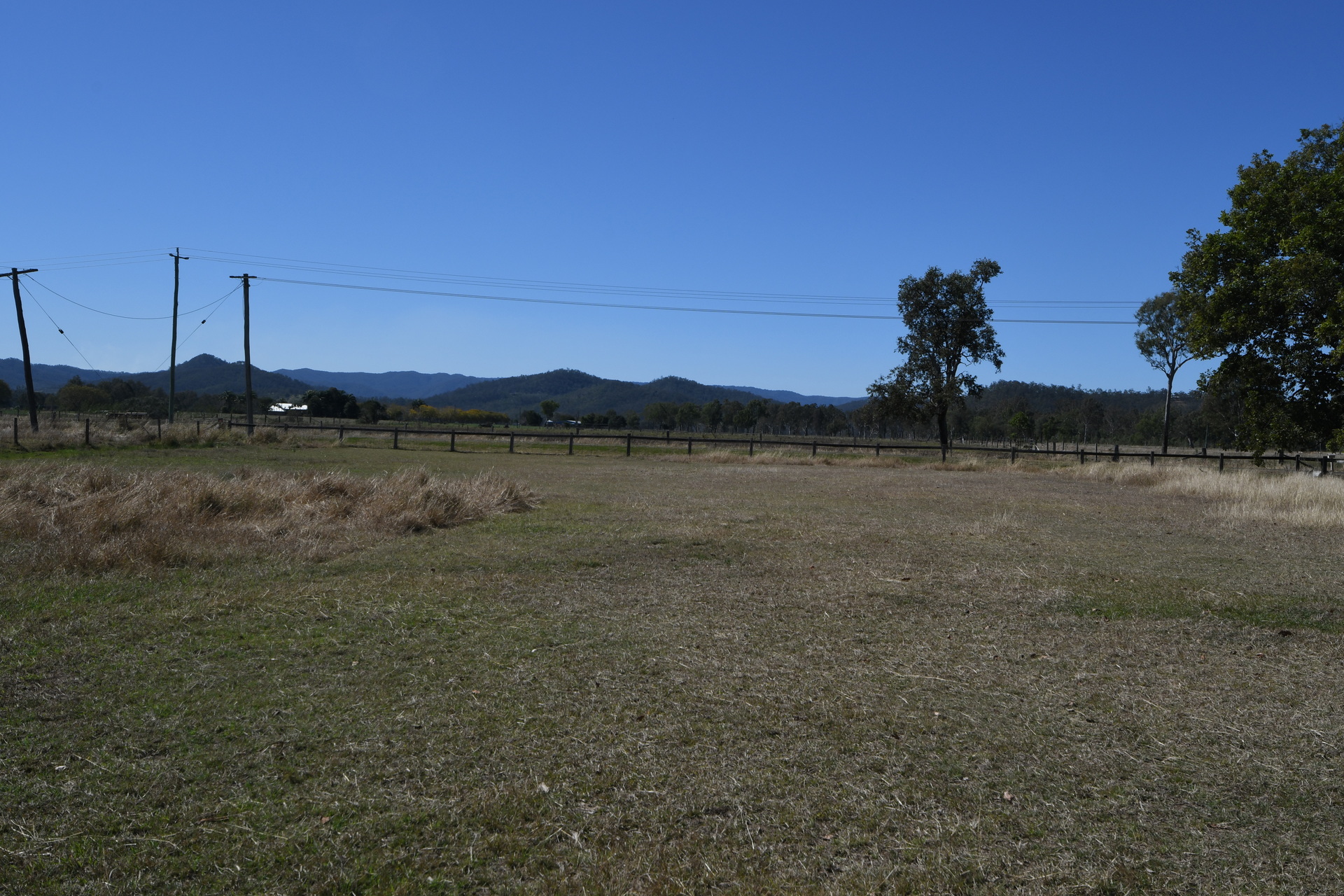 175644749779505124-rsd