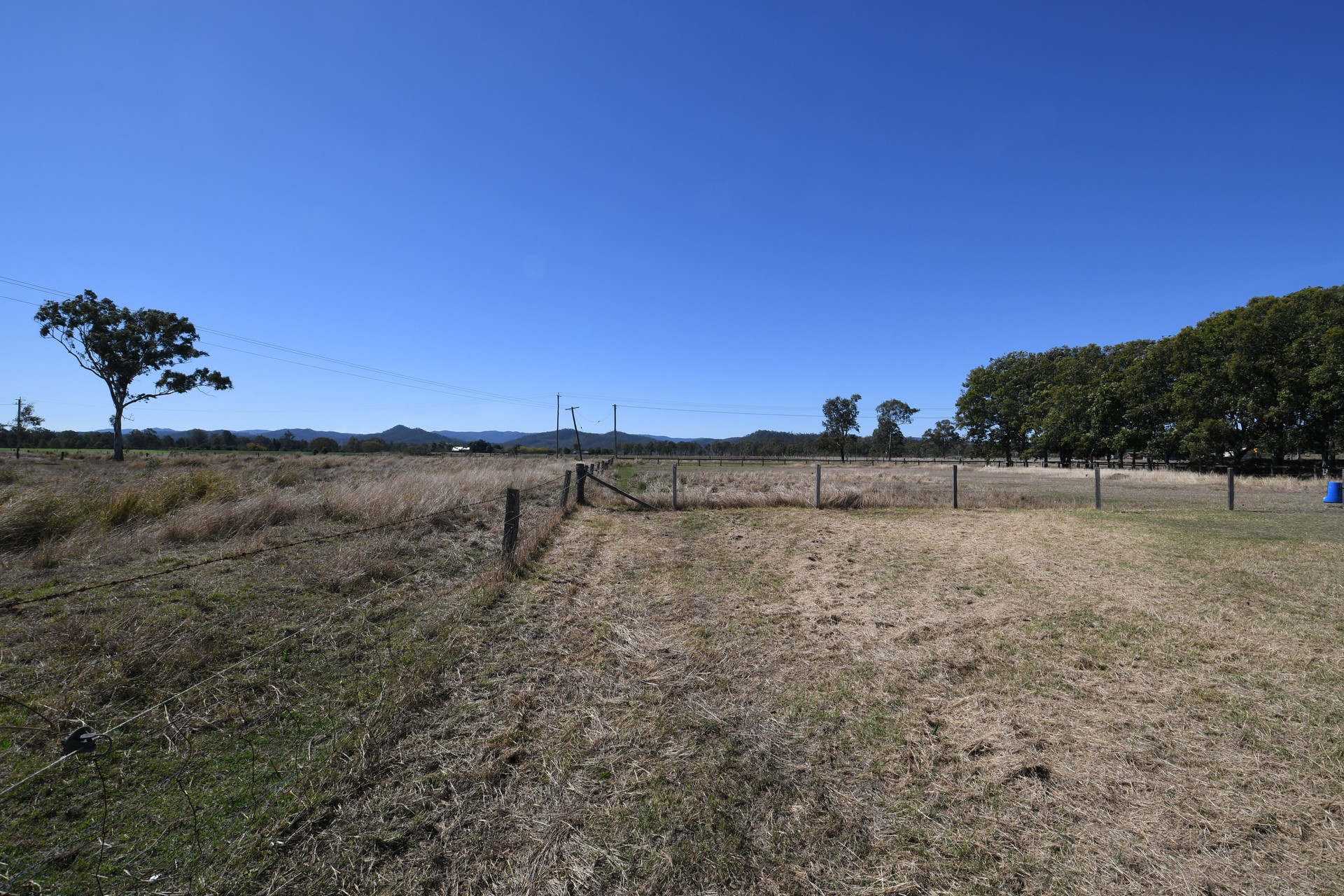 175644753588073734-rsd