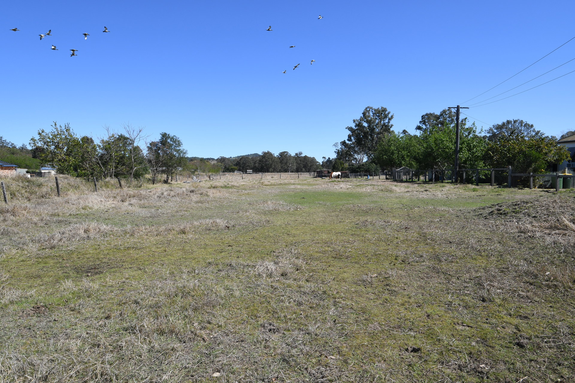 175644755691754204-rsd