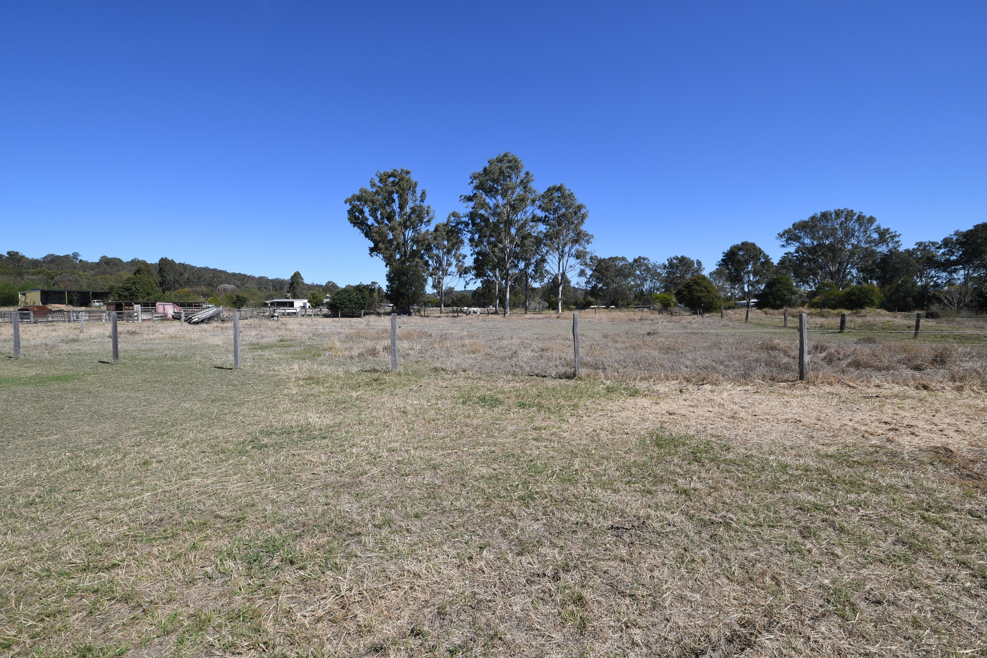 175644758950934144-rsd