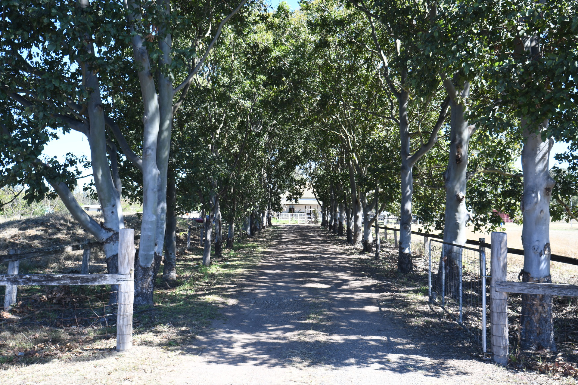 175644794662767512-rsd