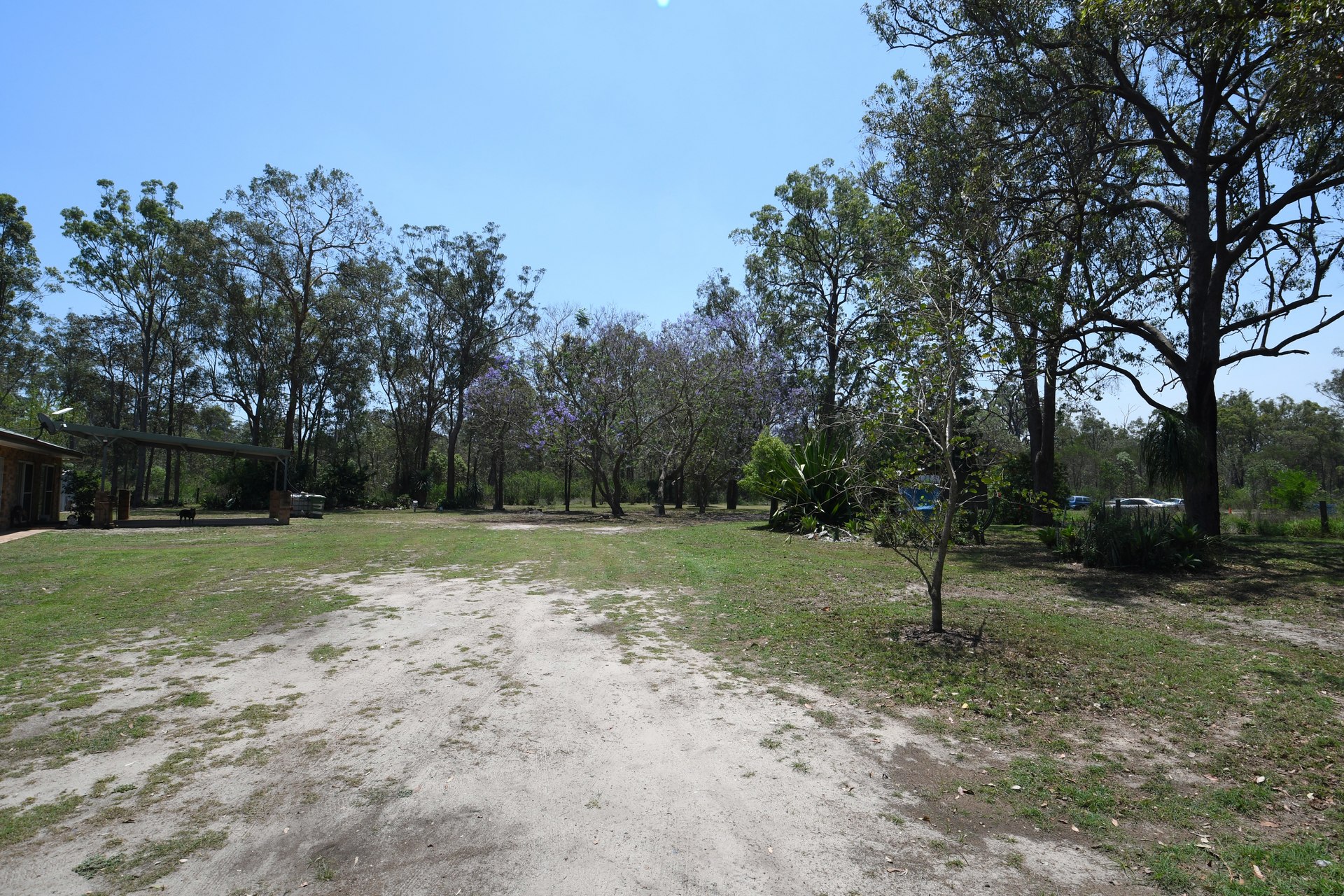 176257876765140513-rsd