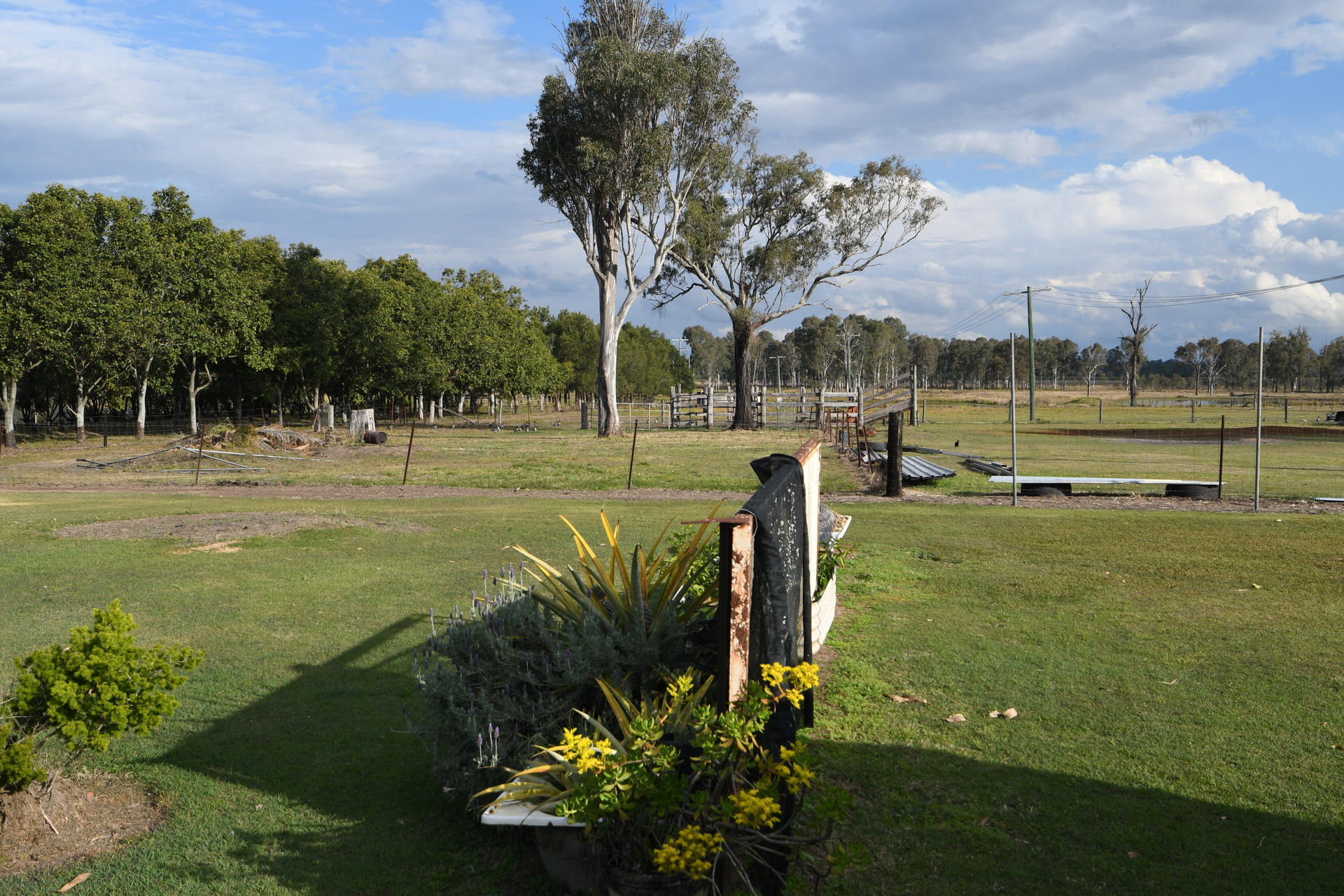 175523503213092523-rsd