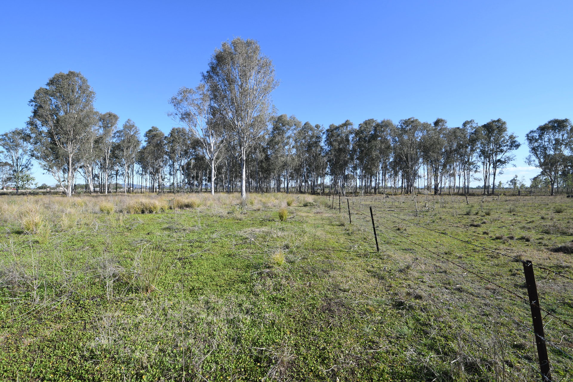 175877966656973397-rsd