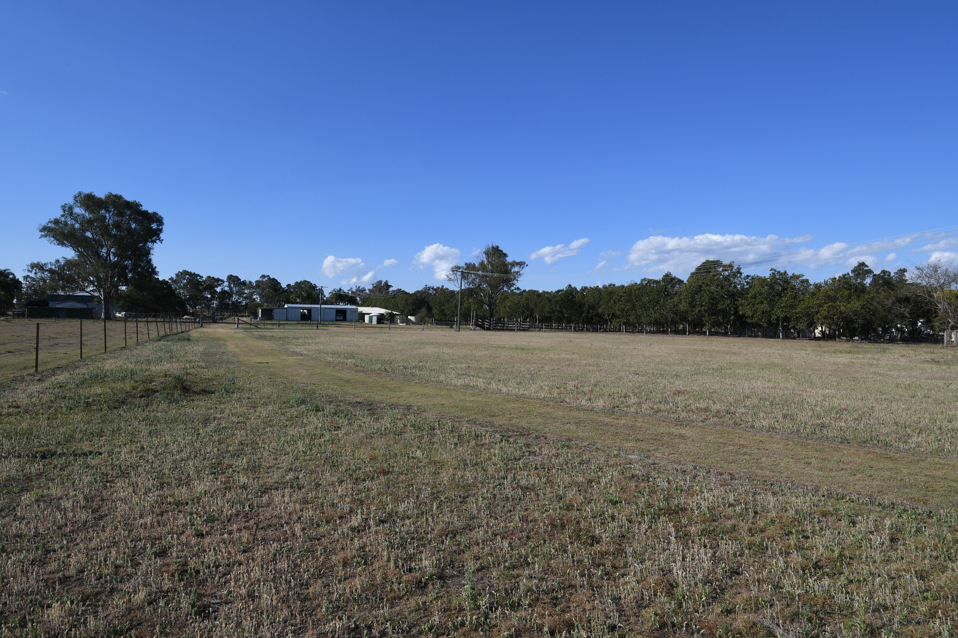 175877967858599496-rsd