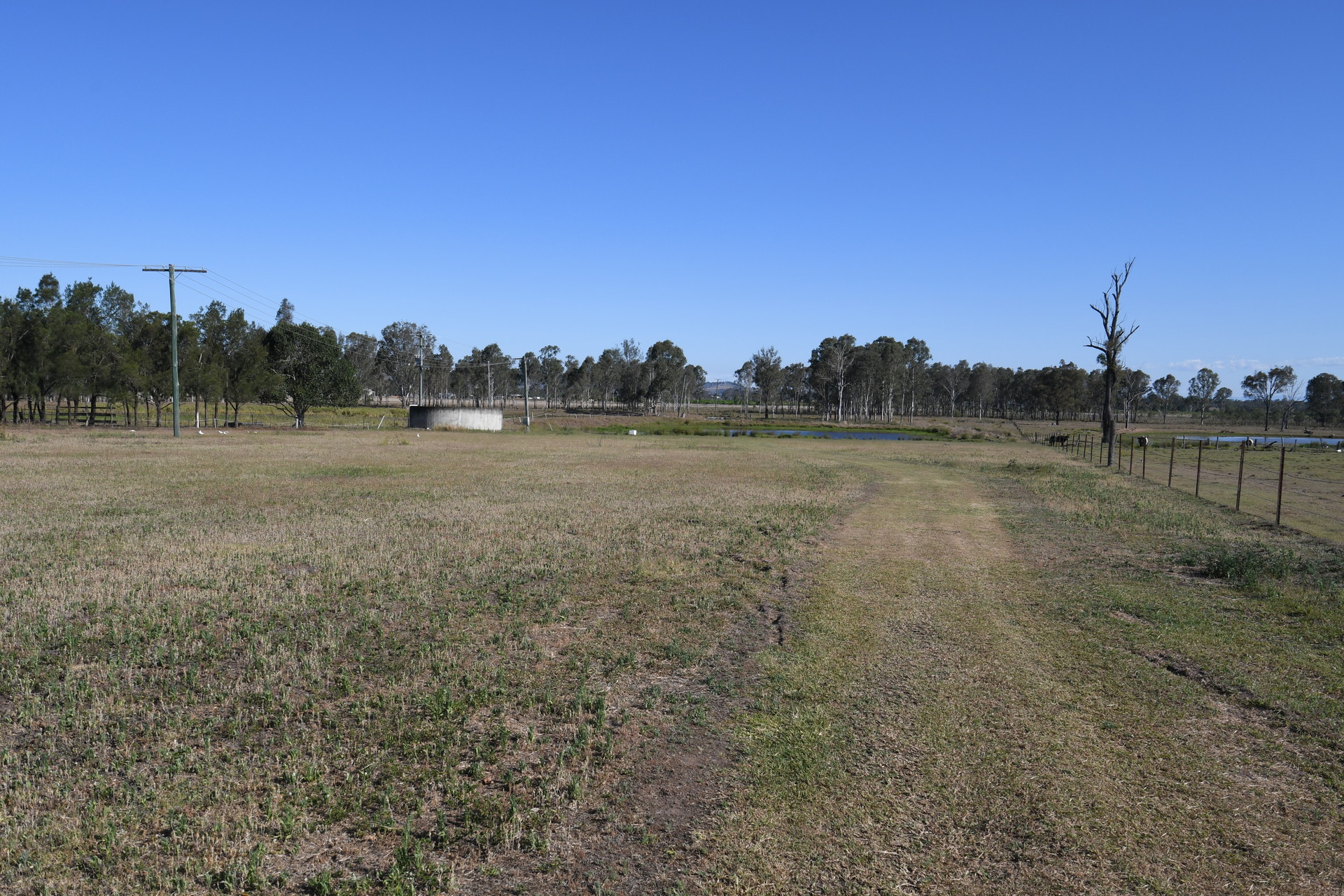 175877968355828401-rsd