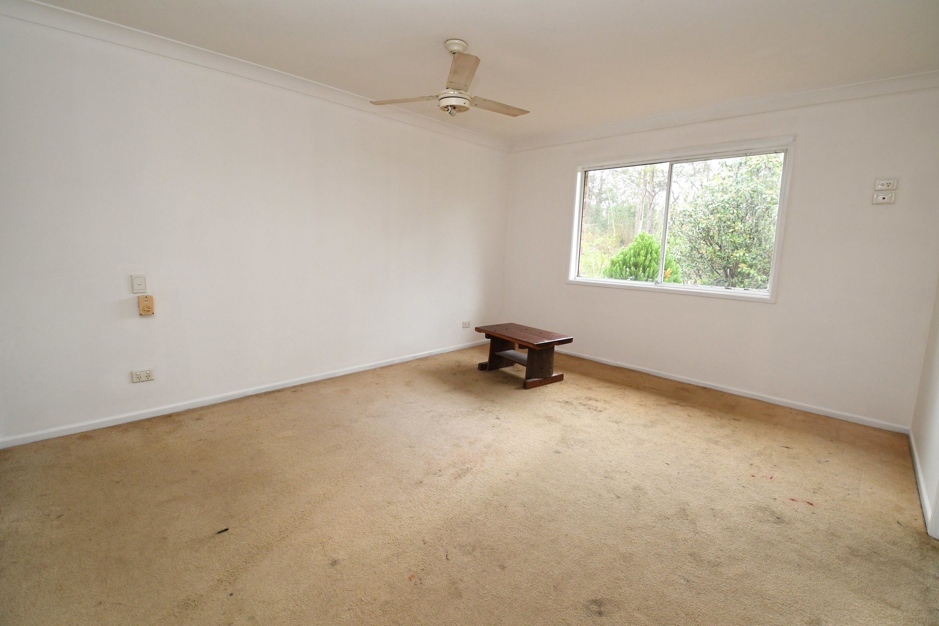 176257876178874294-rsd