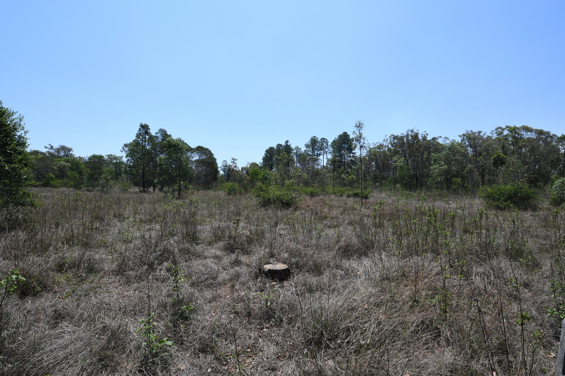 176257886780206702-rsd