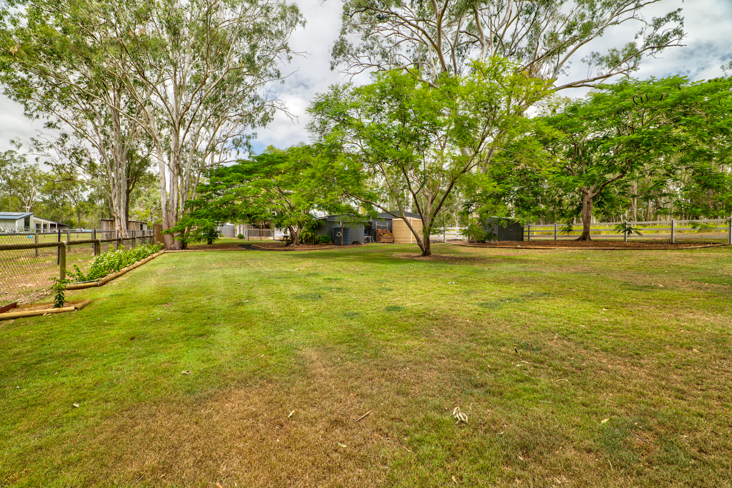 177069903292203194-rsd