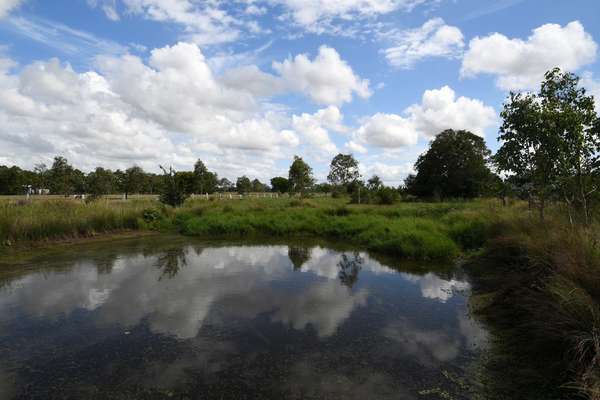 177217268307995468-rsd