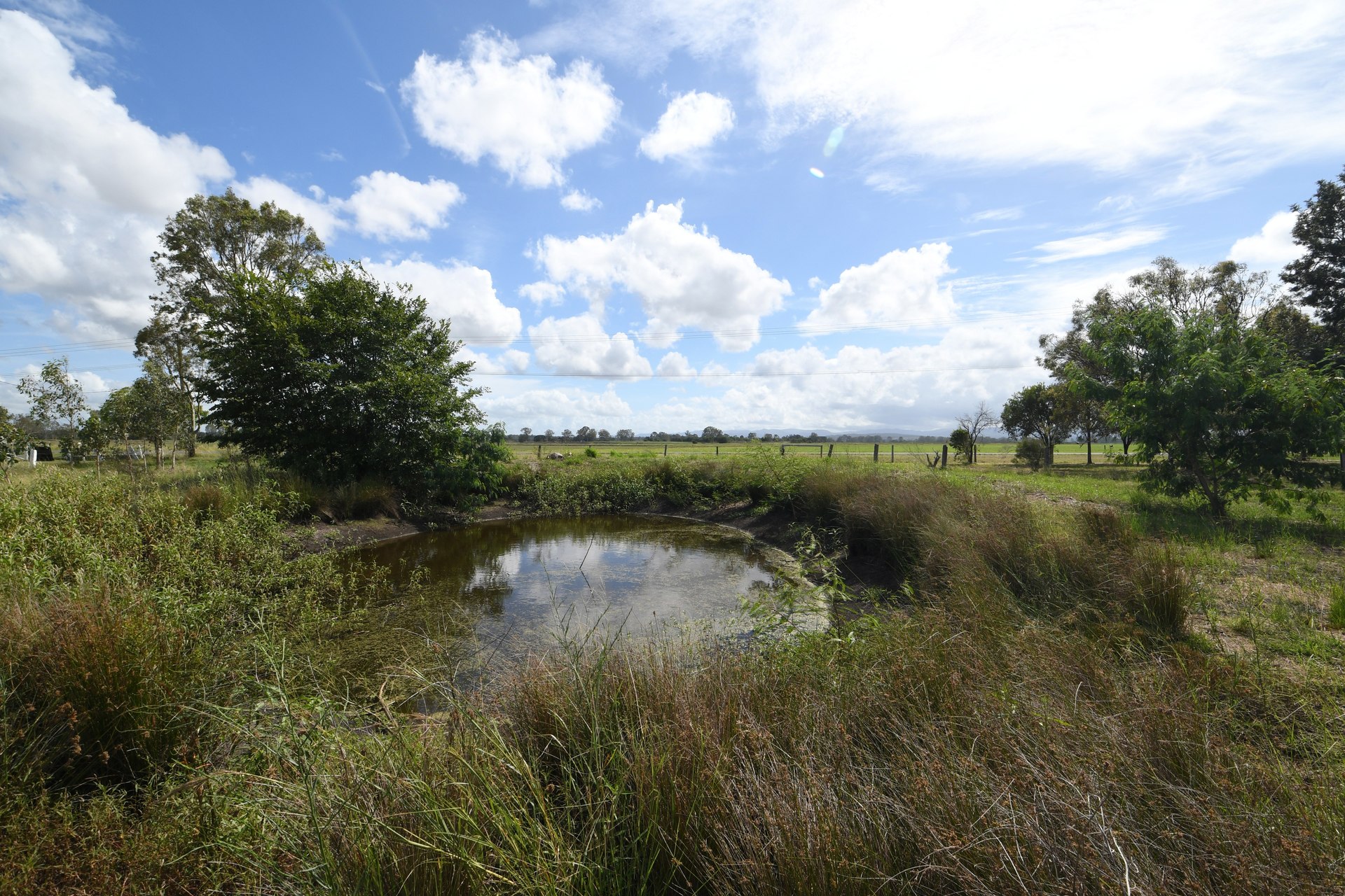 177217268969642010-rsd