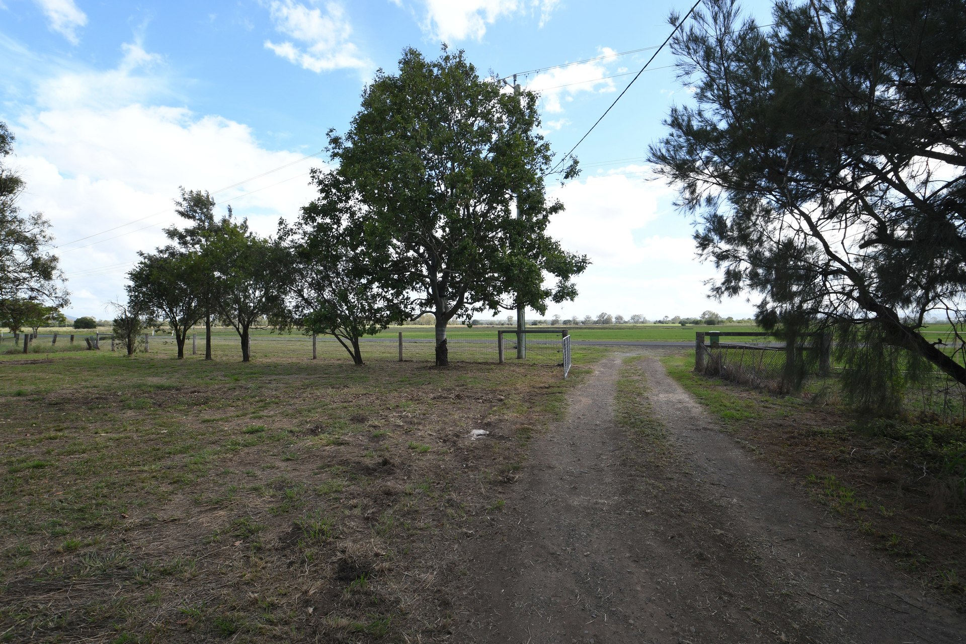 177217269113034425-rsd