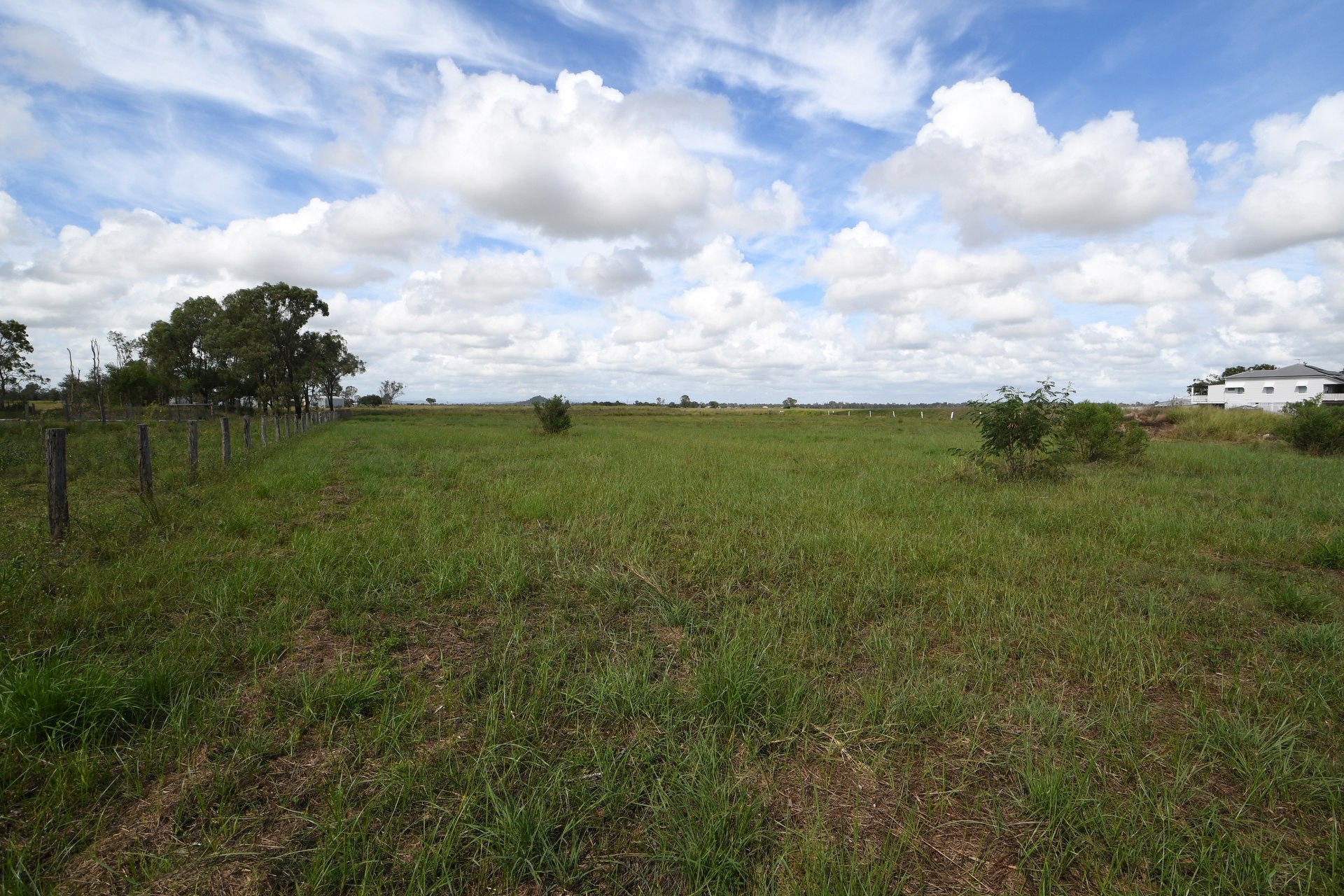 177217280776876026-rsd