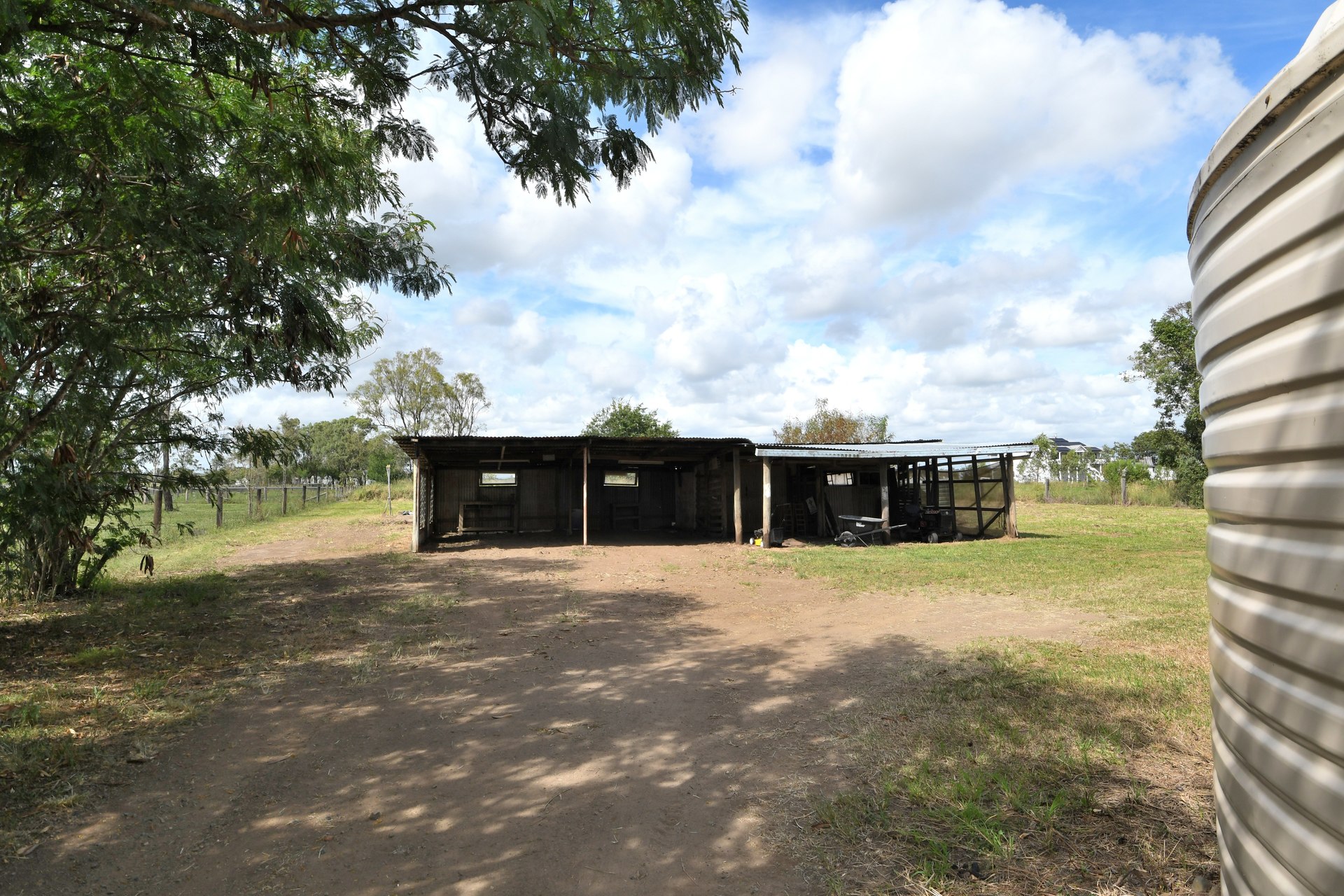 177217281225573710-rsd