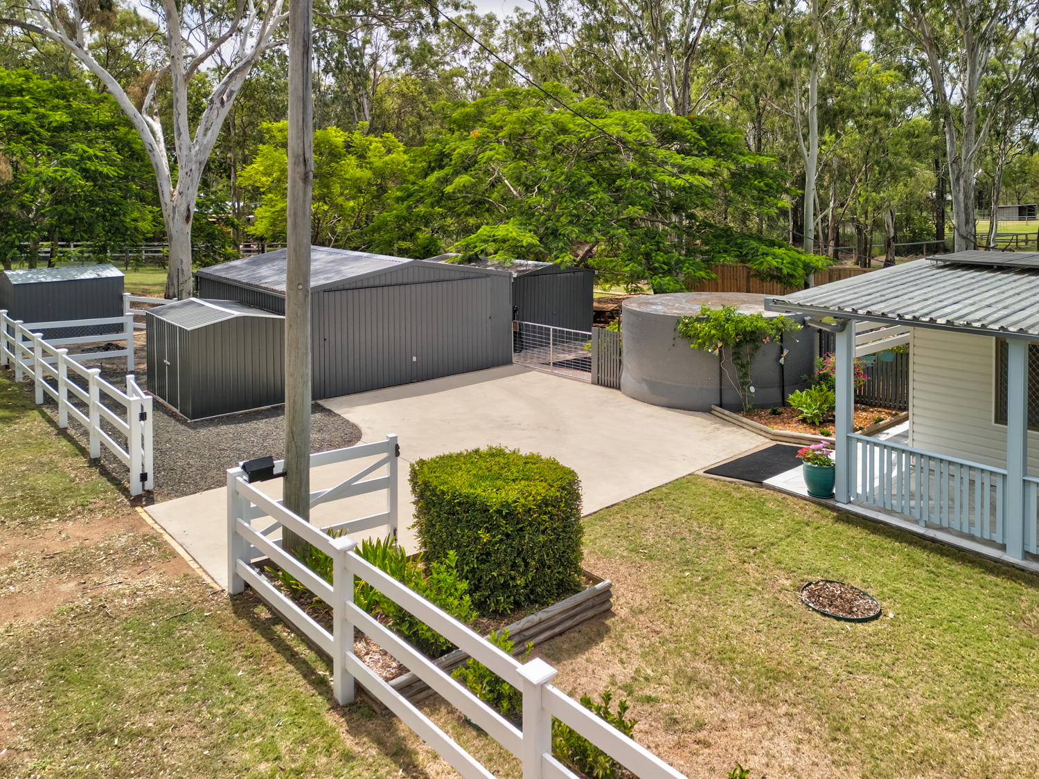 177069901252279005-rsd