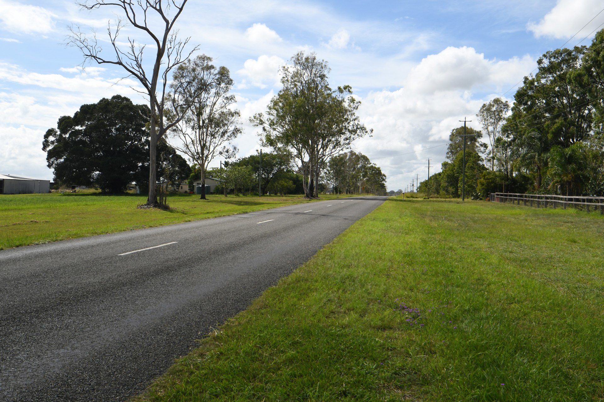 177217273651020998-rsd