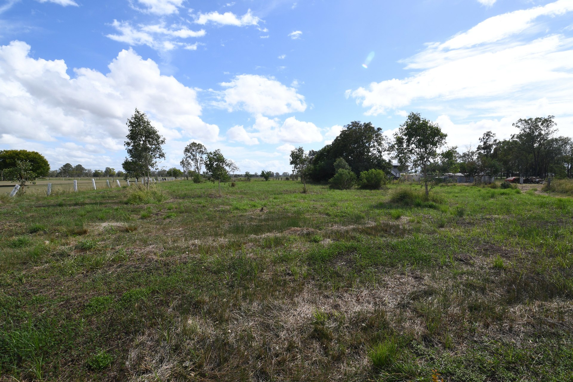 177217273870605829-rsd