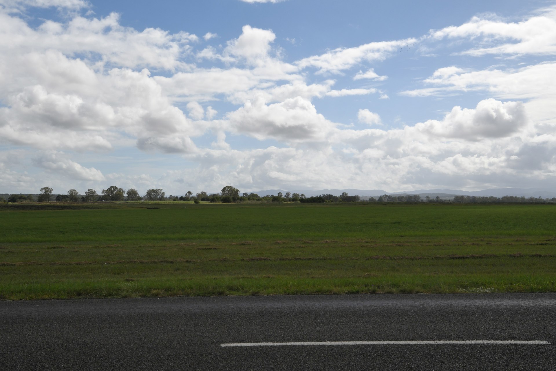 177217274445473085-rsd