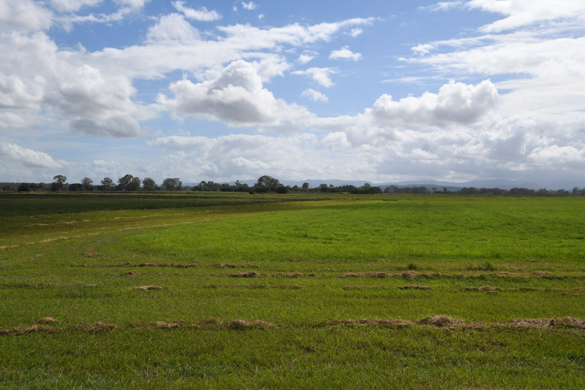 177217274494986653-rsd