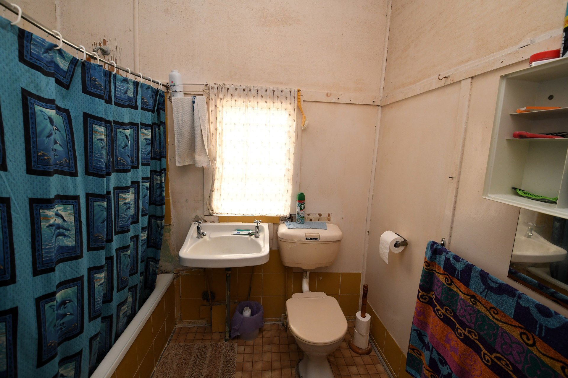 177665947250690136-rsd