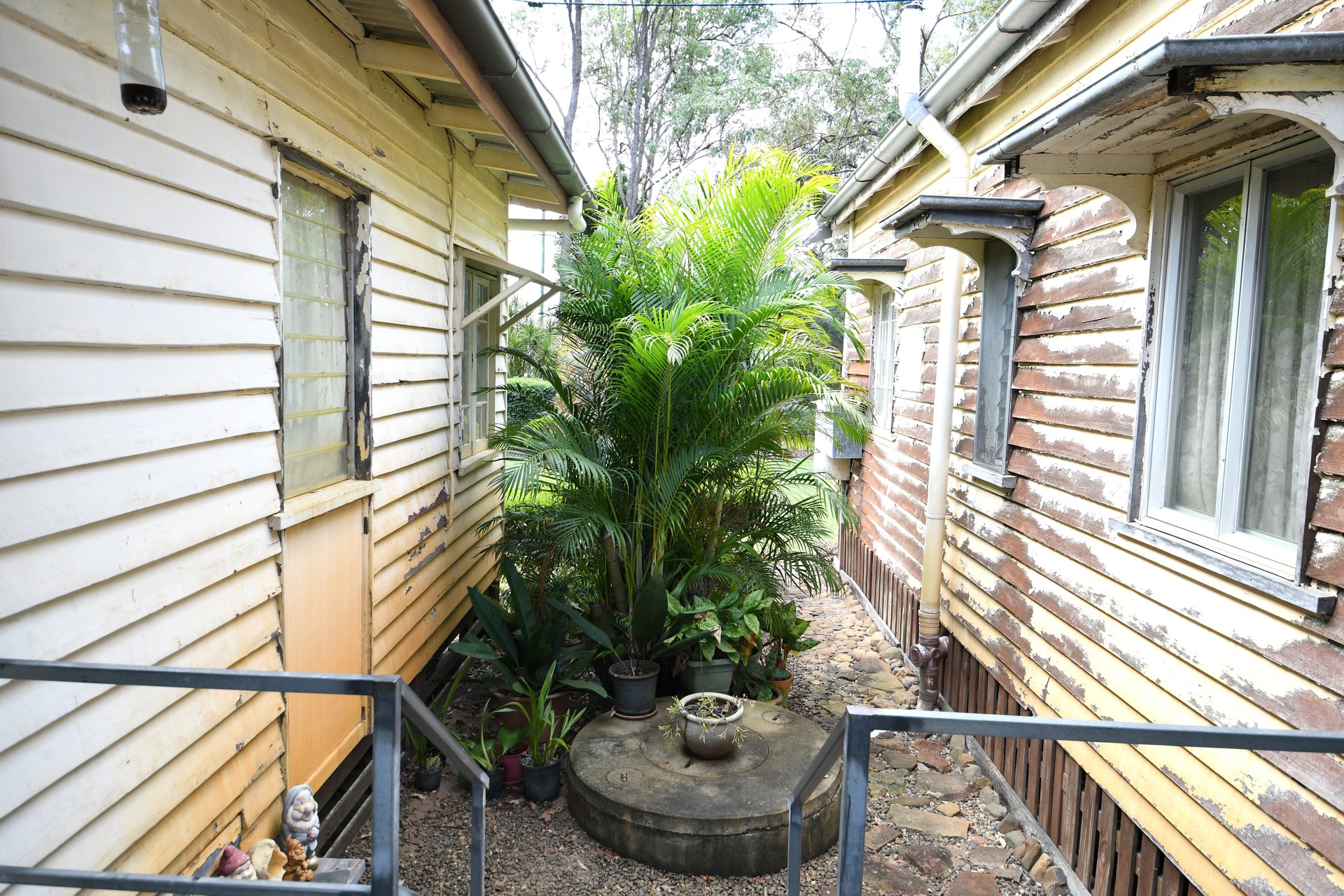 177665947818860860-rsd