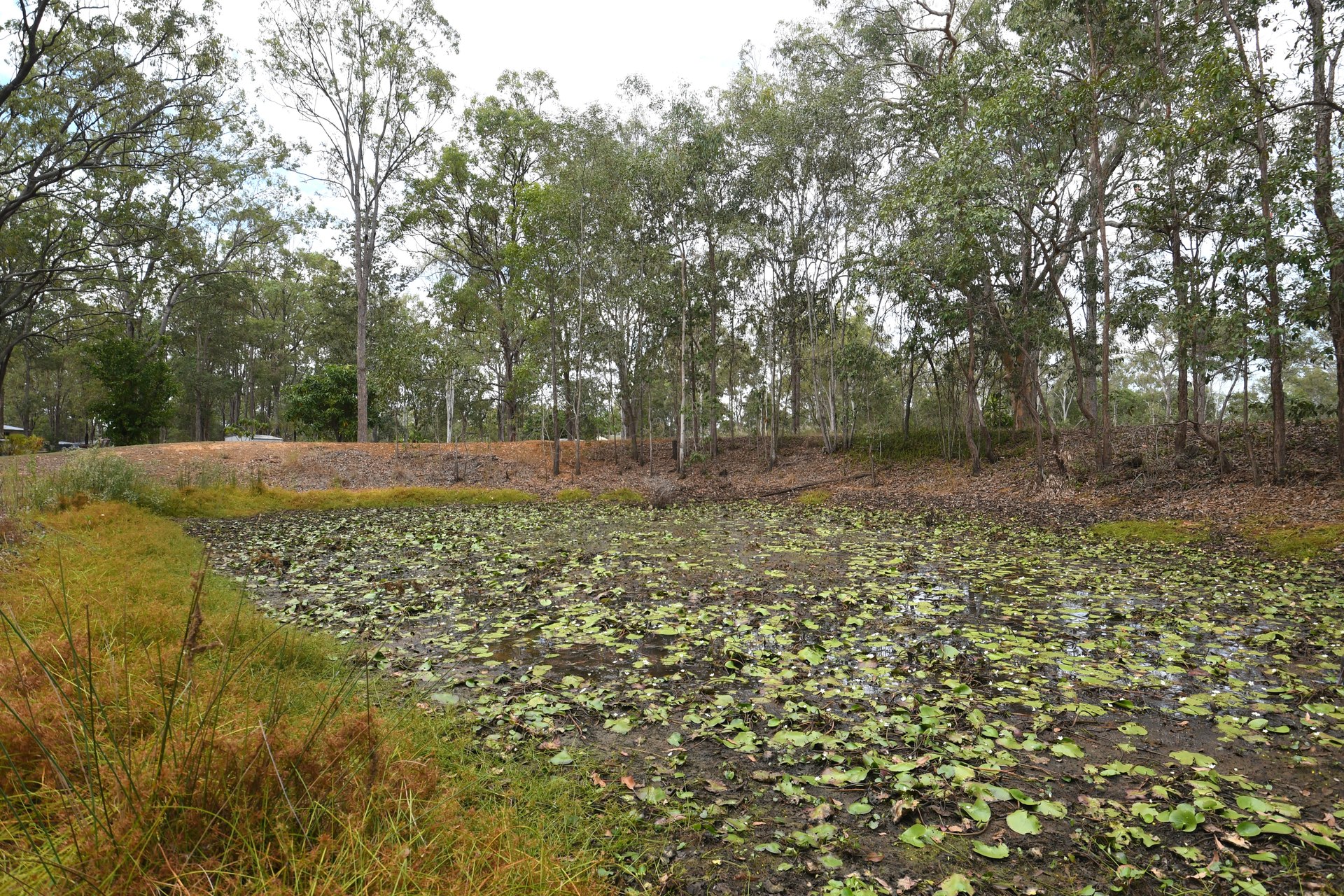 177665948087840326-rsd