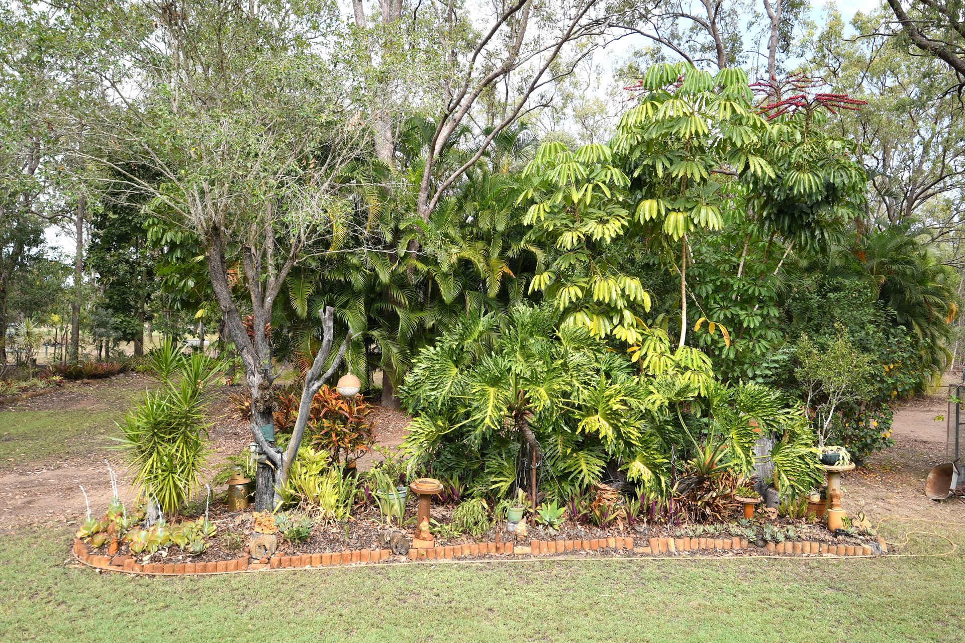 177665954580278274-rsd