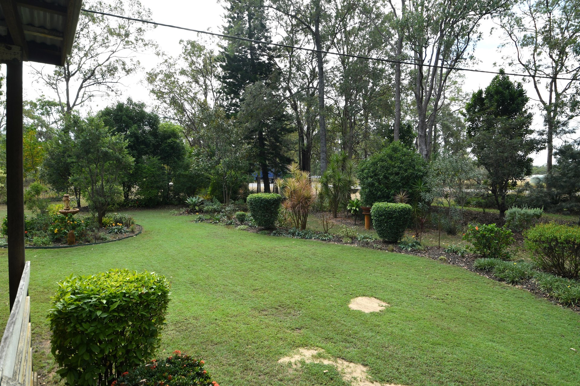 177665954869290754-rsd