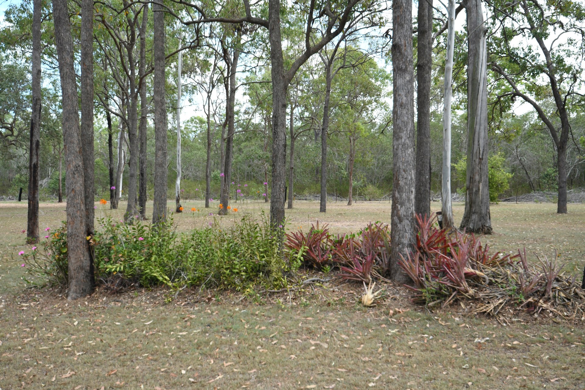 177666011257002235-rsd