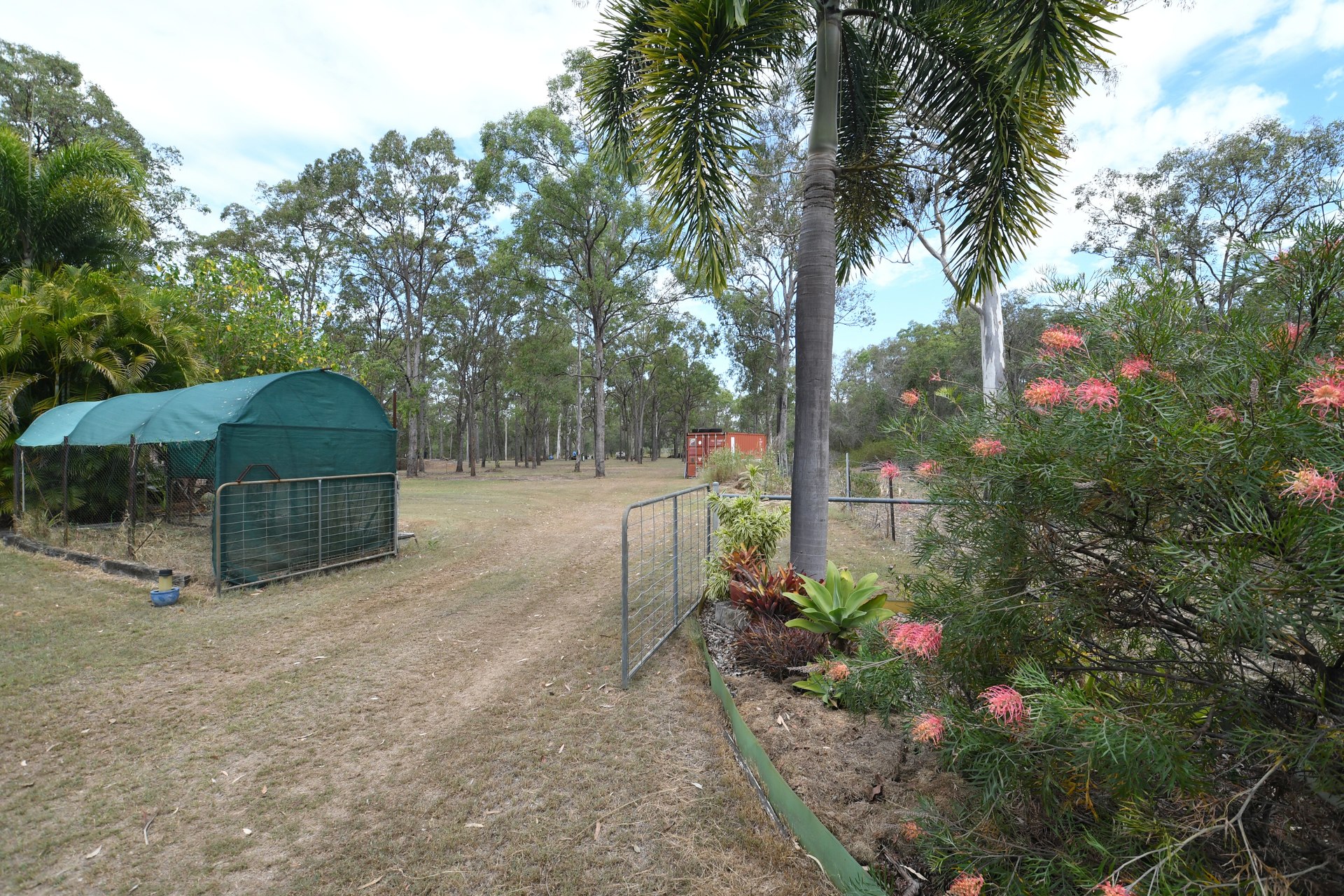 177666011871418681-rsd