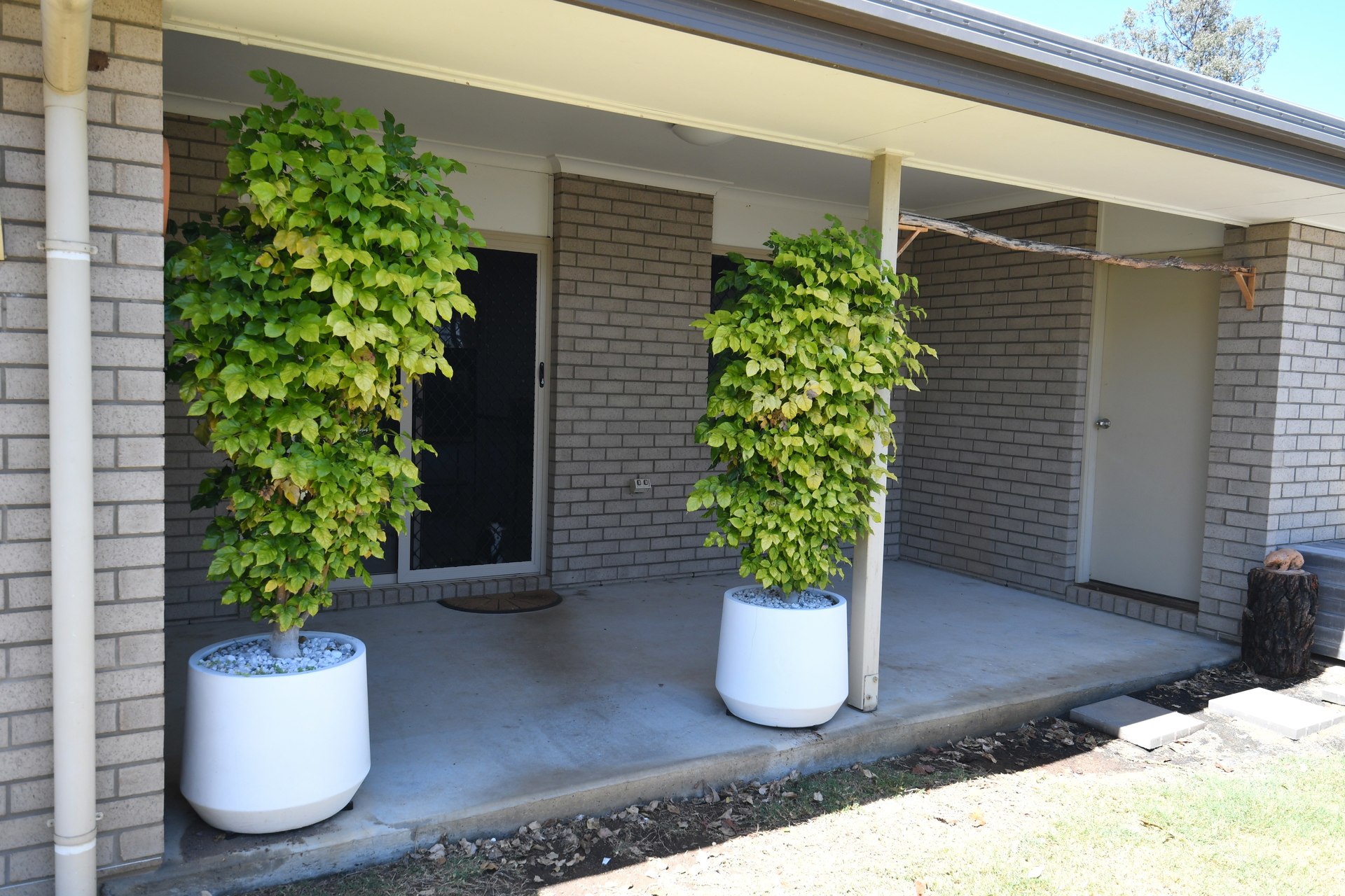 179134349346920271-rsd